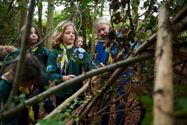 female_leader_with_cubs_in_wood_2022_jpg